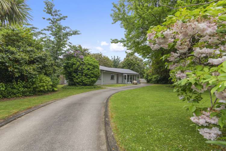 21 Ormond Street Woodville_13