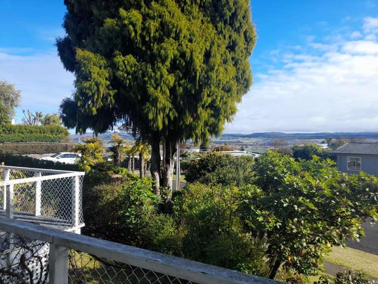 23 Puriri Street 11201_6