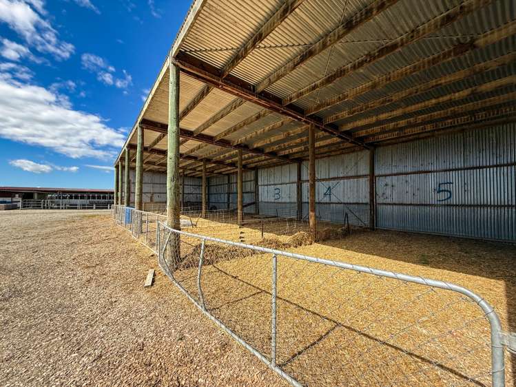 237 Otamita Road Knapdale_12