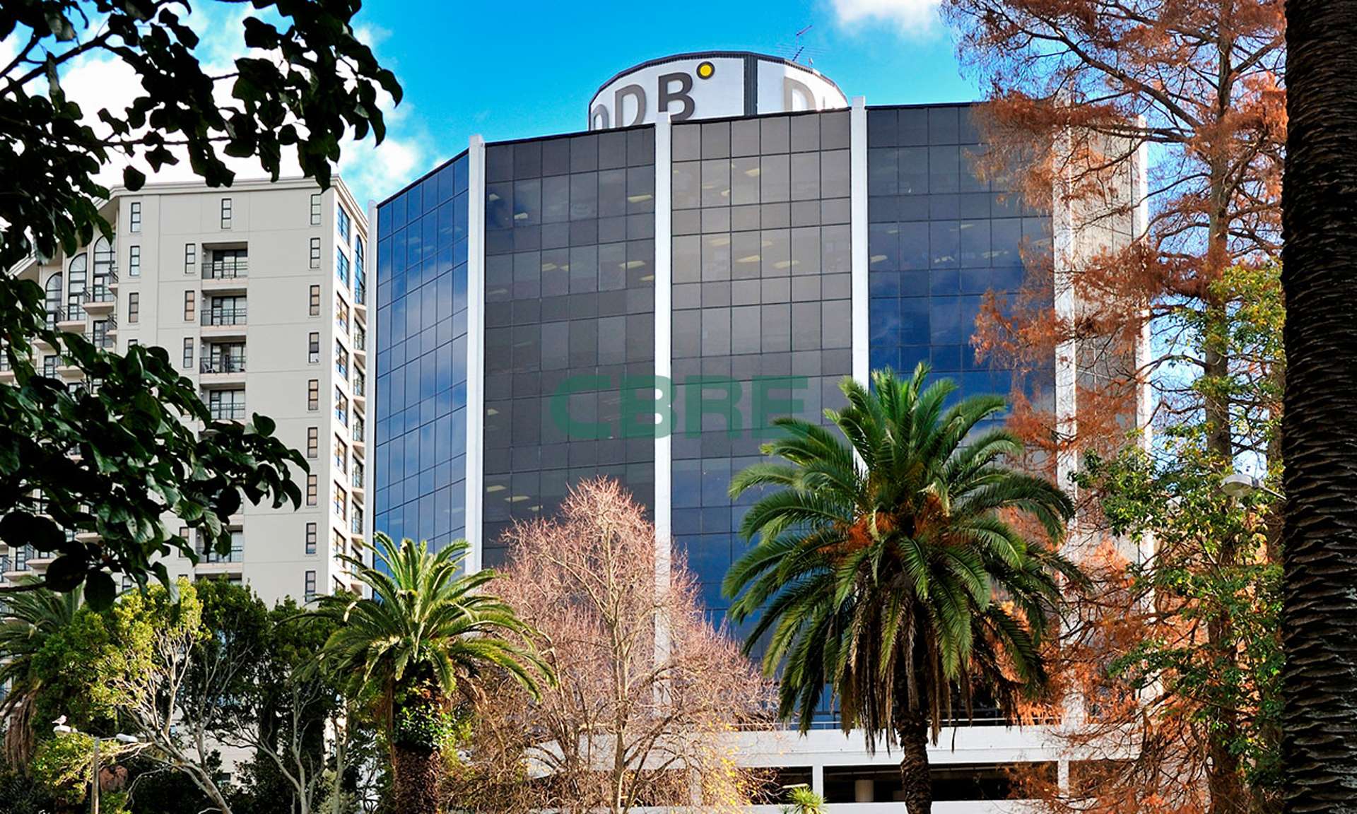 80 Greys Avenue Auckland Central_0