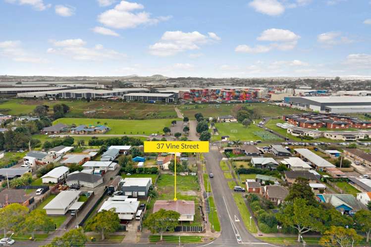 37 Vine Street Mangere East_2