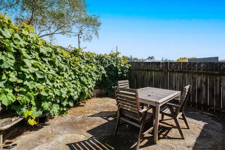 6 Young Grove Stokes Valley_15