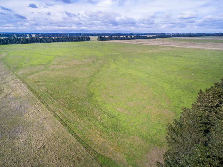 262 Chattertons Road McLeans Island_10