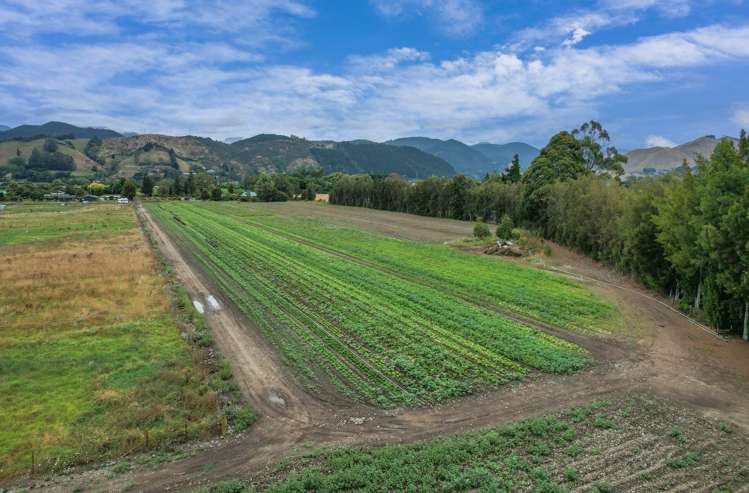 444 Paton Road Hope_8