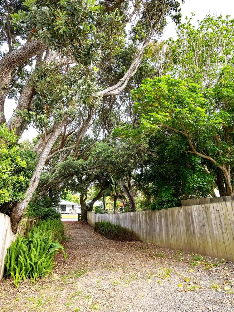 9B Riwhi Way Kaeo_21