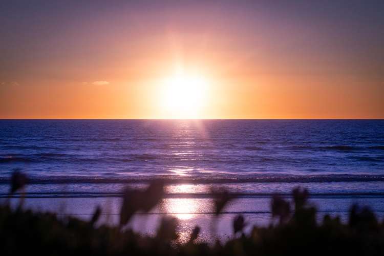 134 Wellington Road Paekakariki_67