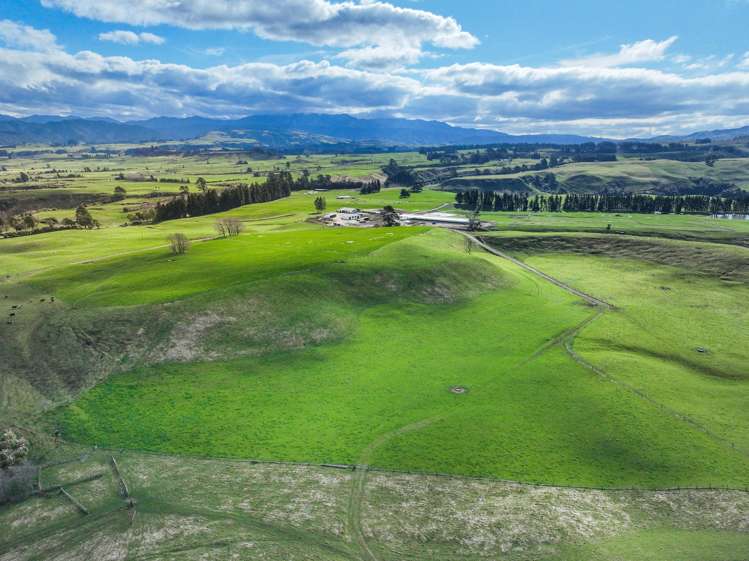 3986 Puketitiri Road Patoka_19