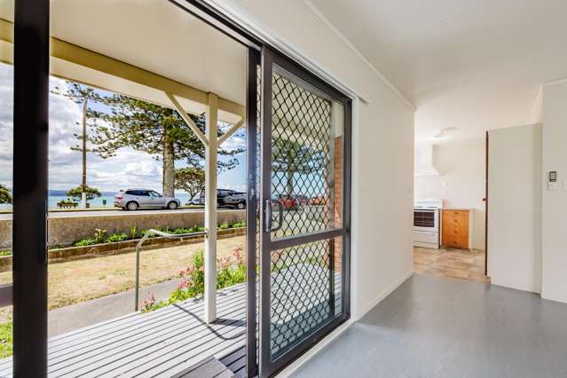 35-36 Hardinge Road and 88-92 Waghorne Street Ahuriri_4