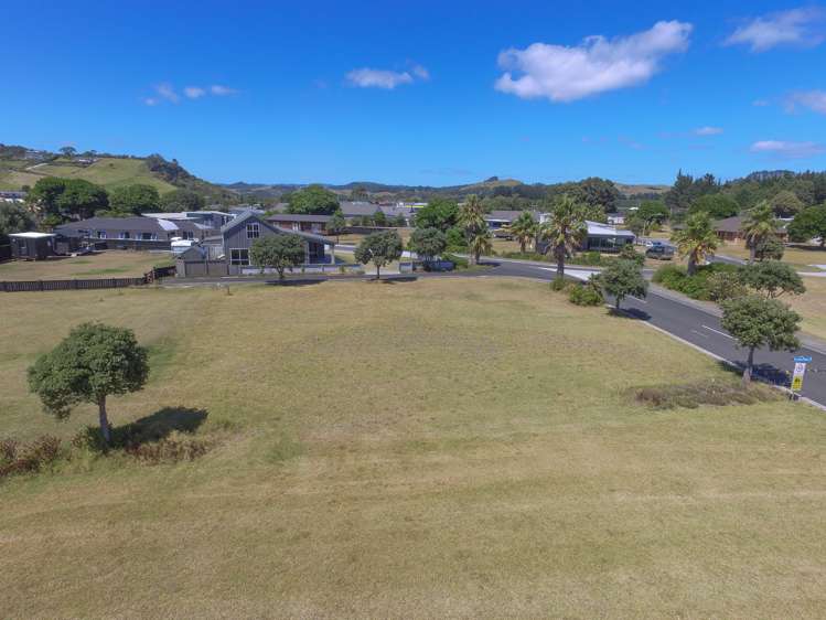 18 Flame Tree Lane Taipa_16