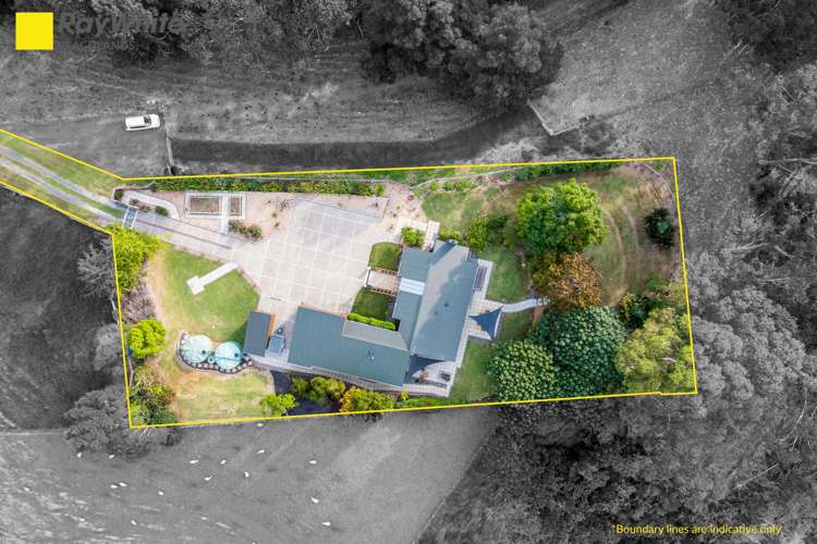 156 Ara-Kotinga Whitford_29