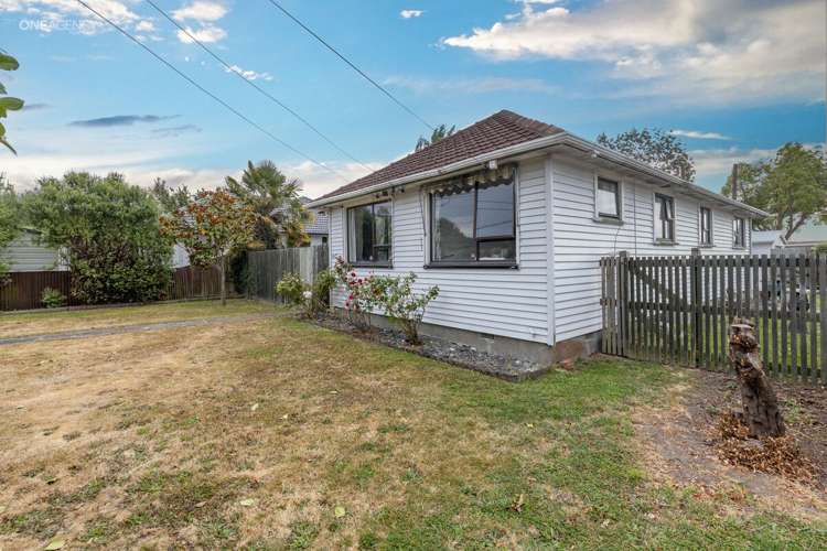 16 Olivine Street Shirley_19