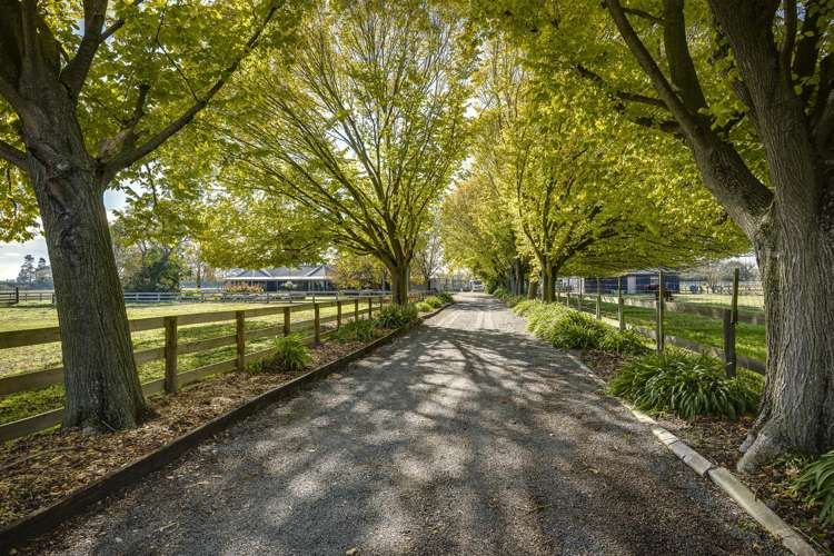 135 Crystall Road Pakipaki_0