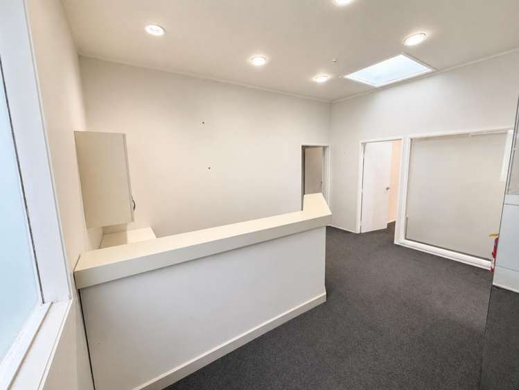 22B Jervois Road Ponsonby_2