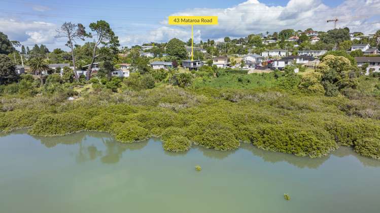 43 Mataroa Road Mount Wellington_17