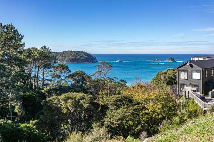 96 Grange Road Hahei_9