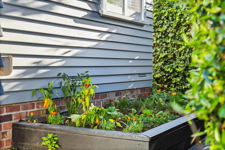 8 Waipani Road Te Atatu Peninsula_19