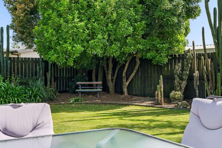 17 Appaloosa Place Papamoa_16