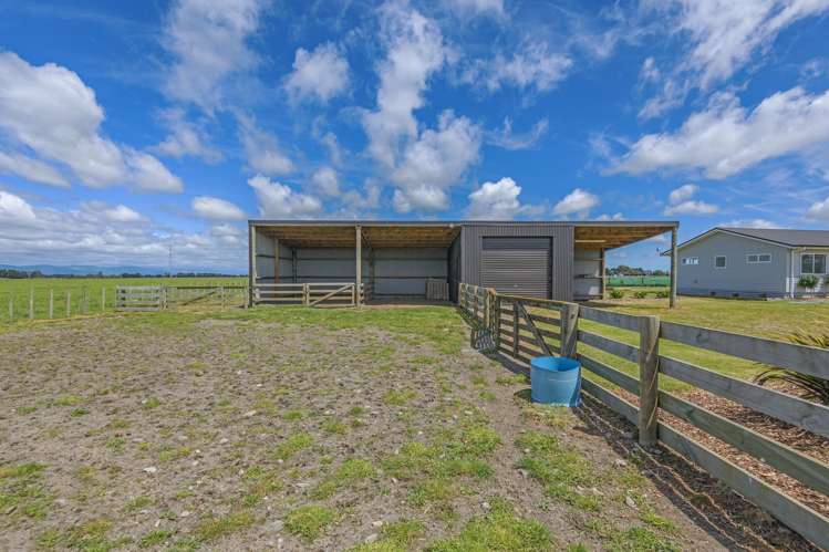 318C Taonui Road Aorangi_17