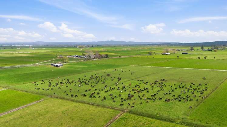 155 Cutwater Road Pukehina_35
