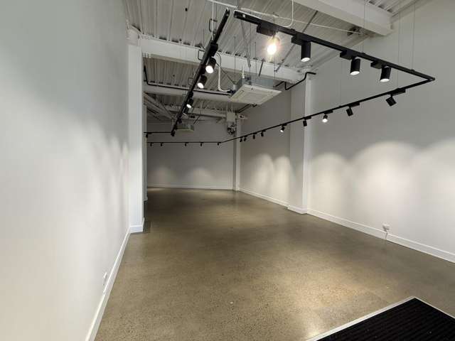 2/115 Victoria Street Te Aro_2