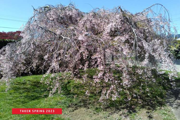 11 Milton Street Trentham_24