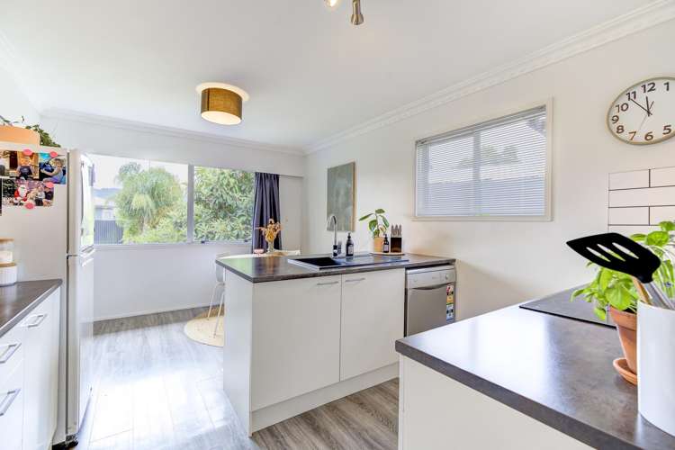 19a Couch Street Ngaruawahia_19