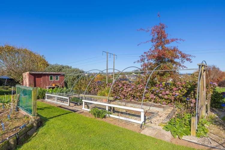 916 Bond Road Te Awamutu_32