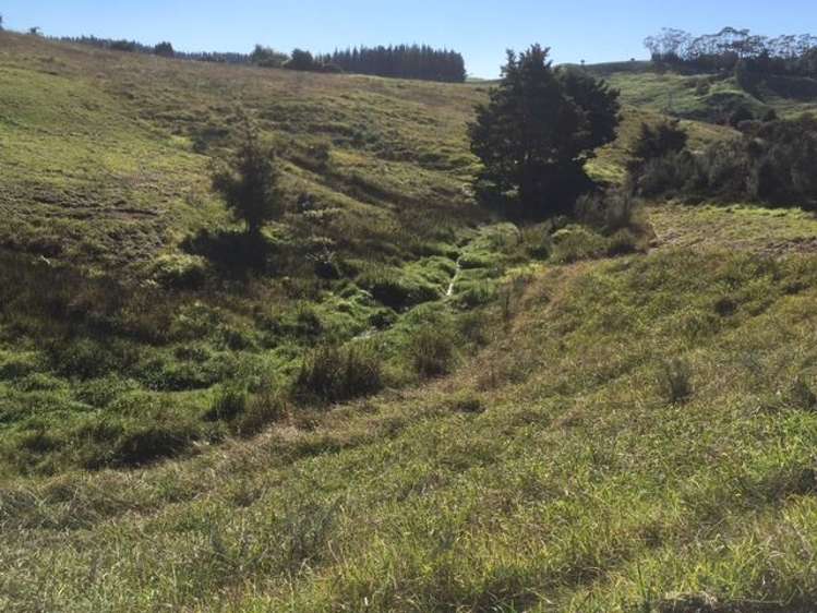 27 Redcliffs Road Kerikeri_17