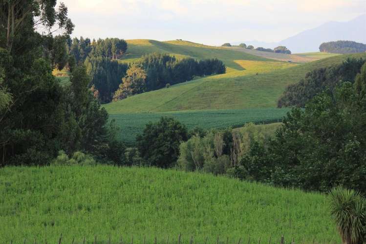 262 Henry Watson Road Matamata_14