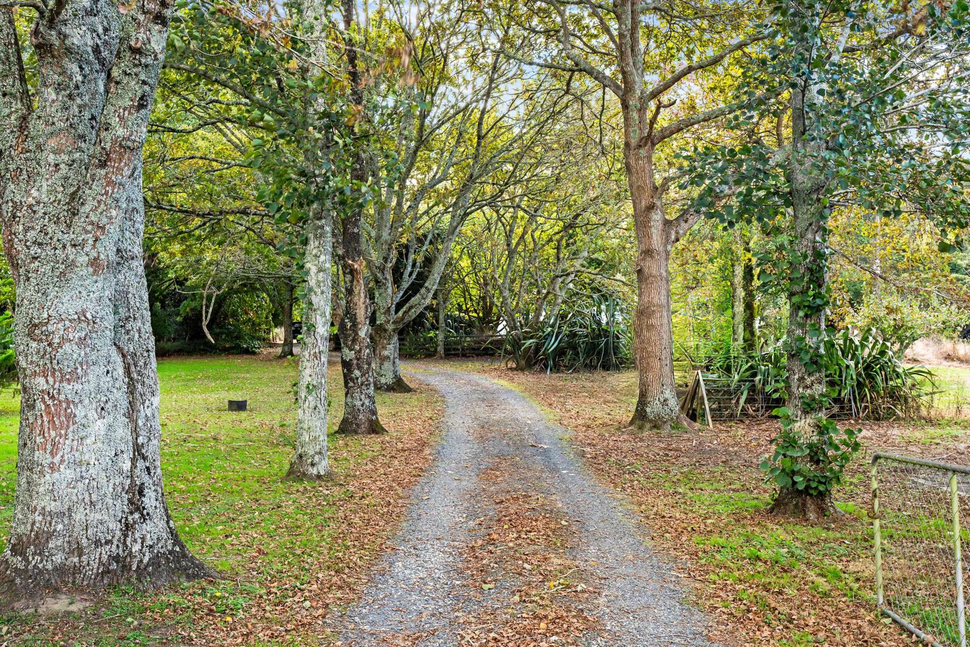 1003 Whangaripo Valley Road Whangaripo_0