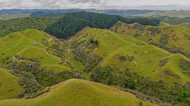 240 Agnews Road Hunterville_3