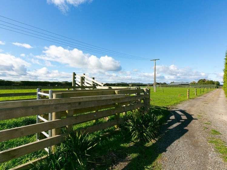 5881 Mountain Road Normanby_47