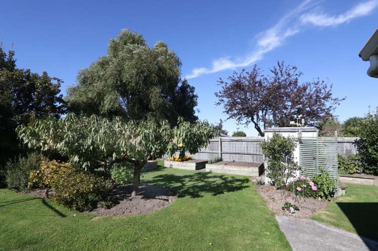 20 Porter Street Netherby_13