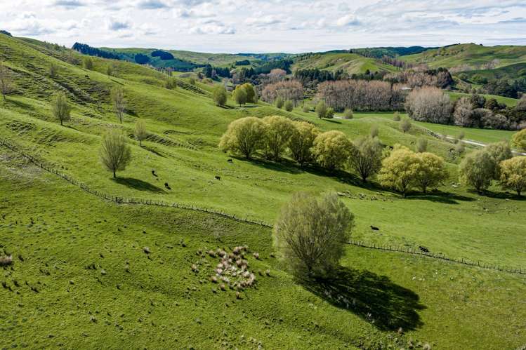 683 Bush Road Wallingford_39