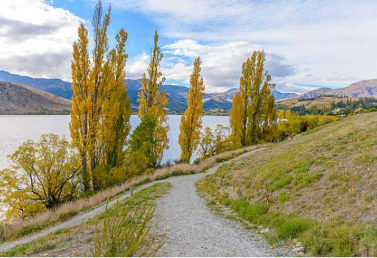 52 Royal Terrace Alexandra_20