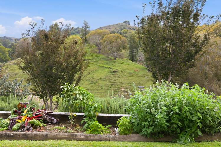 593 Waitomo Valley Road Otorohanga_24