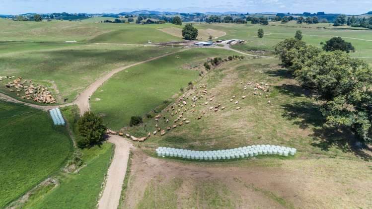 633 Lake Arapuni Road Arapuni_13