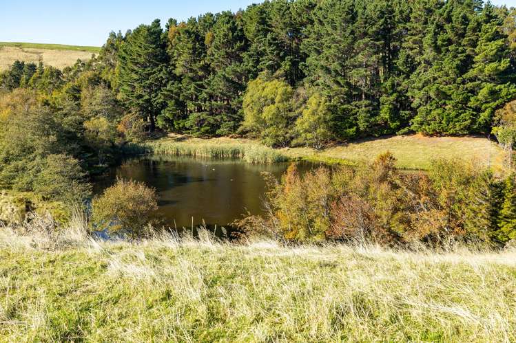 148 Mangatainoka Valley Road Eketahuna_28