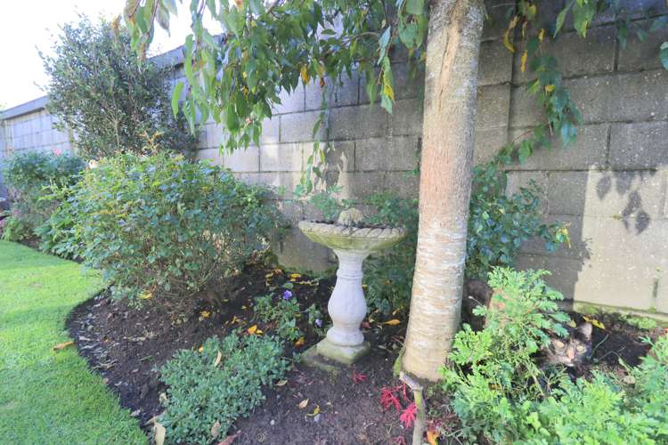 35 Elm Crescent Gladstone_26