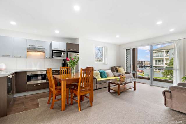 100b Michael Jones Drive Flat Bush_1