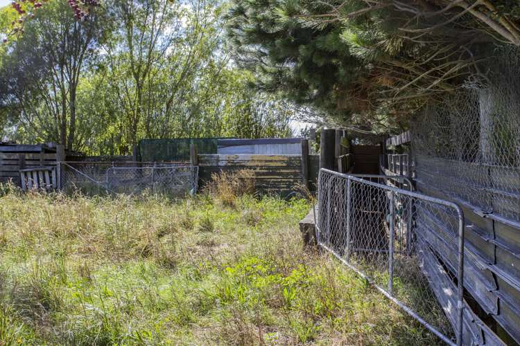 1003 Marshmans Road Balcairn_14