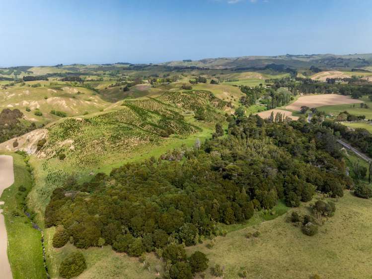 2914 Porangahau Road Wallingford_27