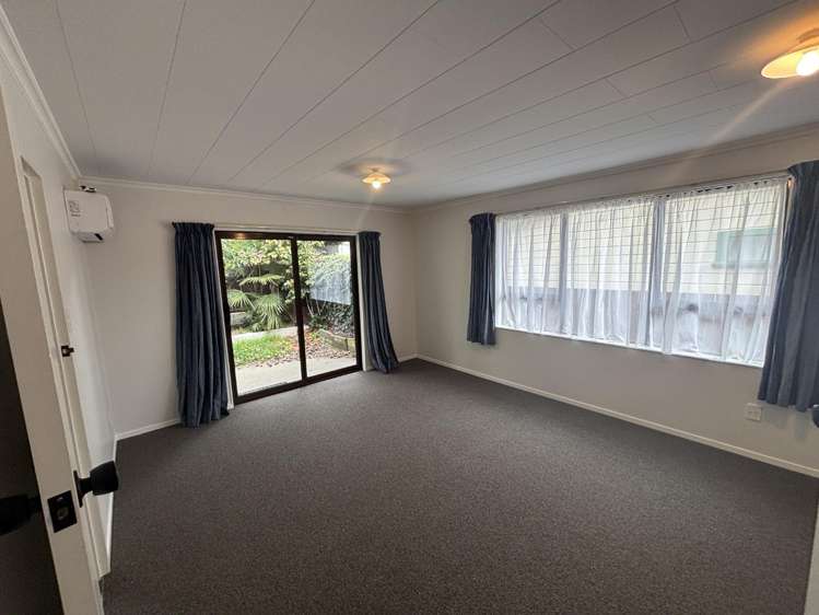 1/33 Van Diemen Street Nelson South_4