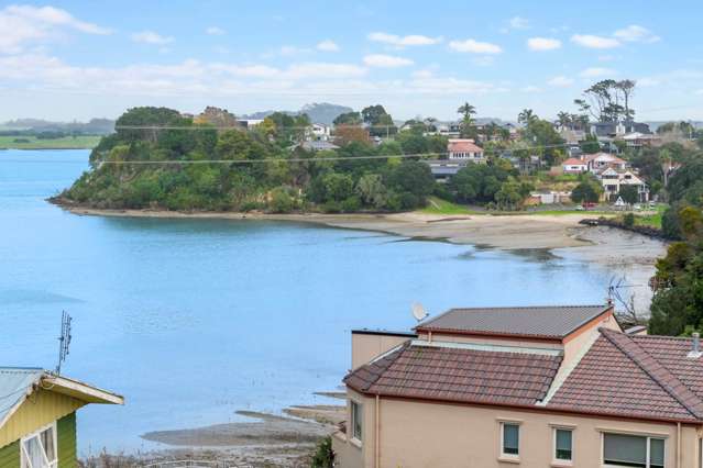 47a Frederick Street Hillsborough_3