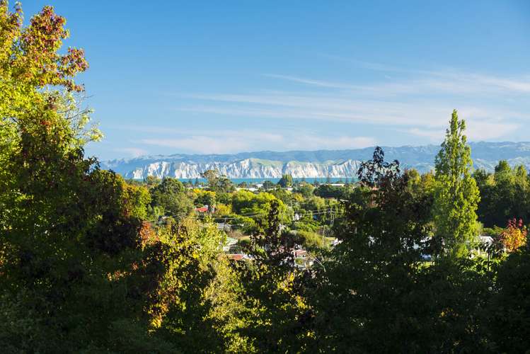 250 Valley Road Mangapapa_9