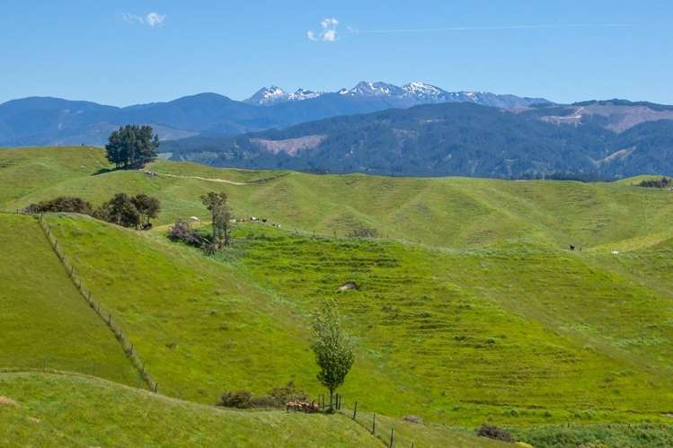 600 Neudorf Road Upper Moutere_37