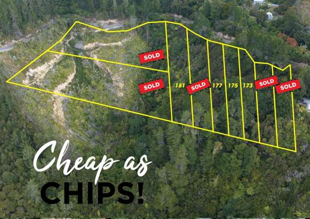 Endless Possibilities!