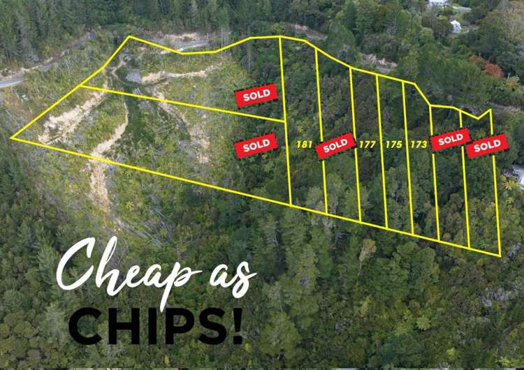 173 Blue Mountains Road_0