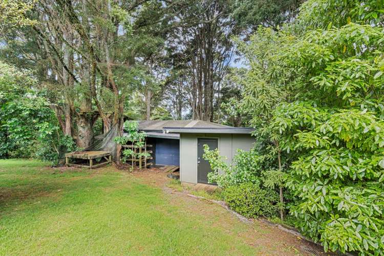 270 Vinegar Hill Road Kauri_11