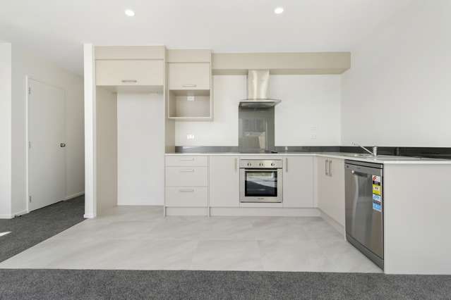 118 Joseph Street Flat Bush_3